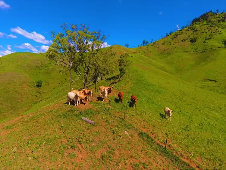 Seventh view of Homely rural property listing, 461 Marys Creek Road, Marys Creek QLD 4570