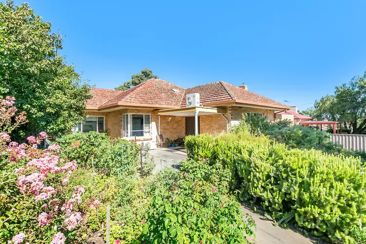 Second view of Homely house listing, 17 Shirley Avenue, Felixstow SA 5070