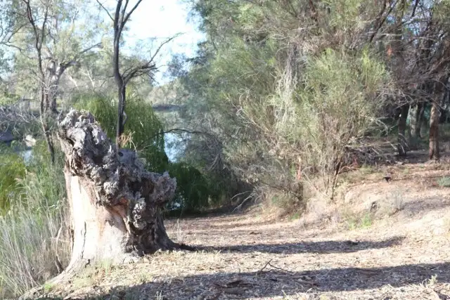 Fourth view of Homely land listing, Allott. 372 THAMM ROAD, Morgan SA 5320