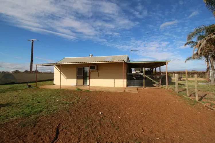 Main view of Homely rural property listing, 104 Coates Road, Barmera SA 5345