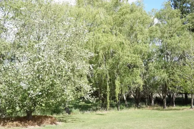 Fourth view of Homely land listing, 5. Laconia Crescent, Moss Vale NSW 2577