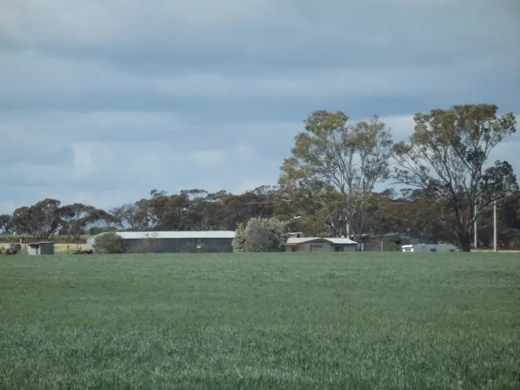 Third view of Homely rural property listing, 0 Koraleigh Road, Koraleigh NSW 2735
