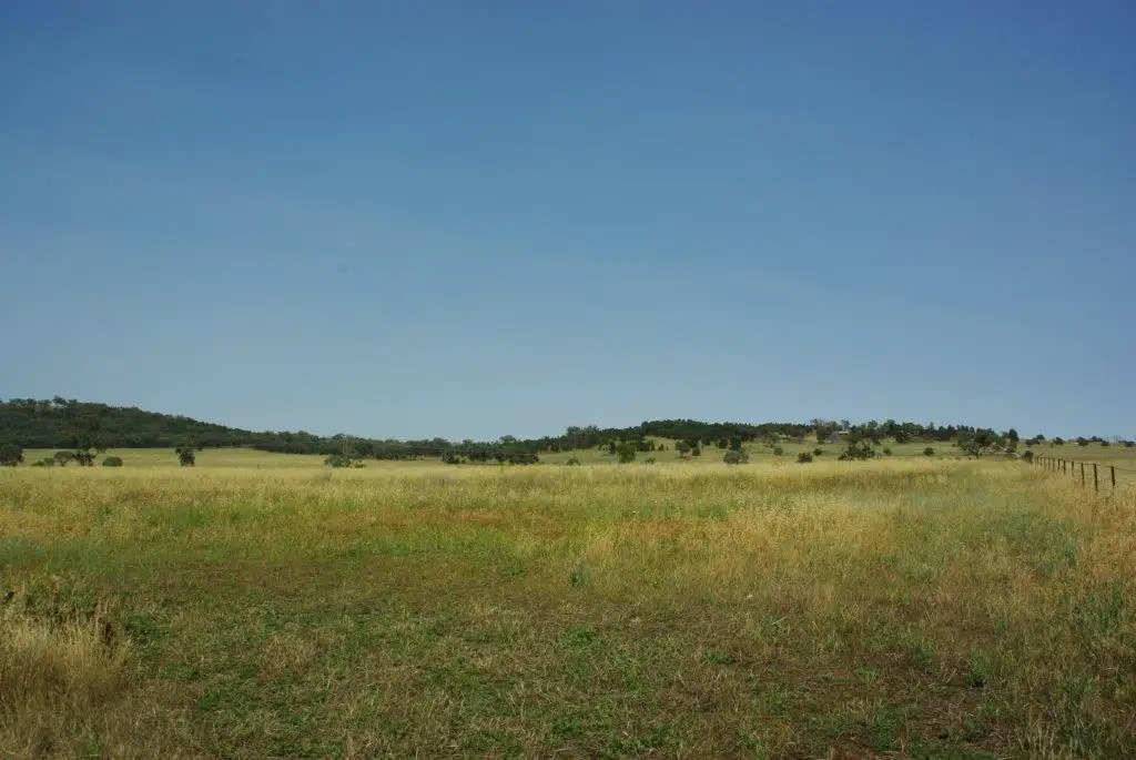 Main view of Homely rural property listing, 26 Phillipsons Lane, Maryvale NSW 2820