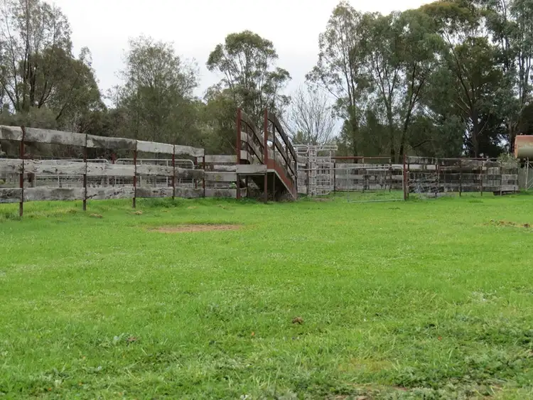 Fourth view of Homely rural property listing, "Lynore" Wakool Road, Barham NSW 2732