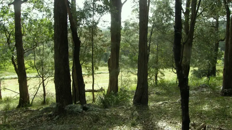 Seventh view of Homely land listing, 74 Narrawallee Ck Rd, Lake Conjola NSW 2539