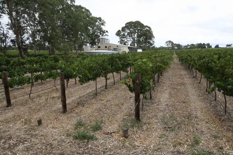 00 Carters Rd, Naracoorte SA 5271