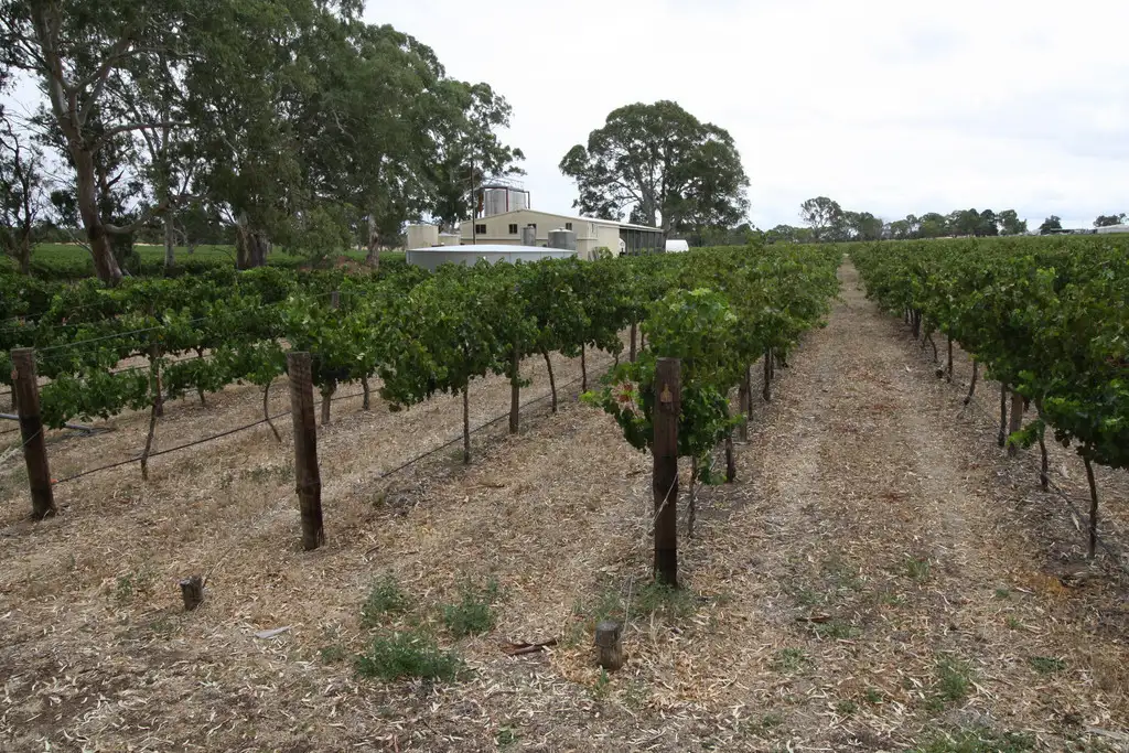 Main view of Homely rural property listing, 00 Carters Rd, Naracoorte SA 5271