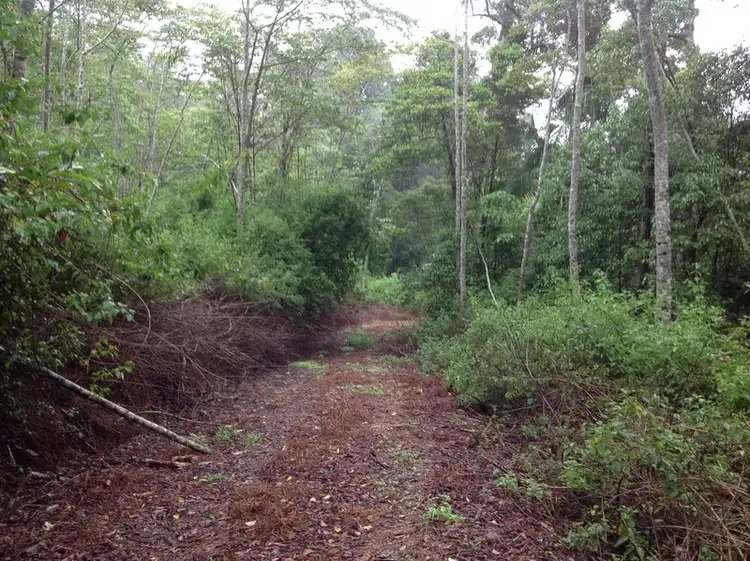 Third view of Homely land listing, 361 Schumanns Road, Eungella QLD 4757
