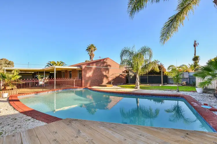 Main view of Homely house listing, 25 Midhurst Ave, Christie Downs SA 5164