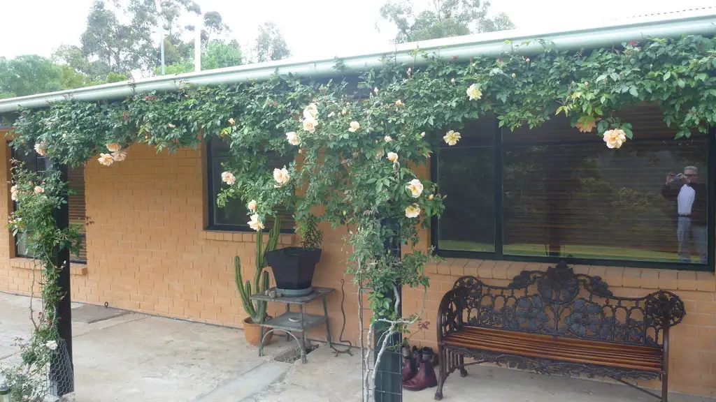 Main view of Homely house listing, 210 Burragate Rd, Burragate NSW 2550