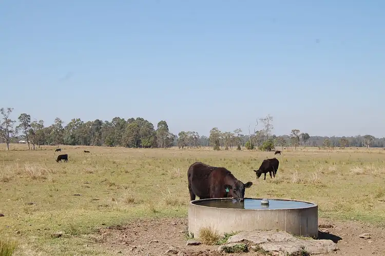 Second view of Homely rural property listing, 624 Fogwells Road, Casino NSW 2470