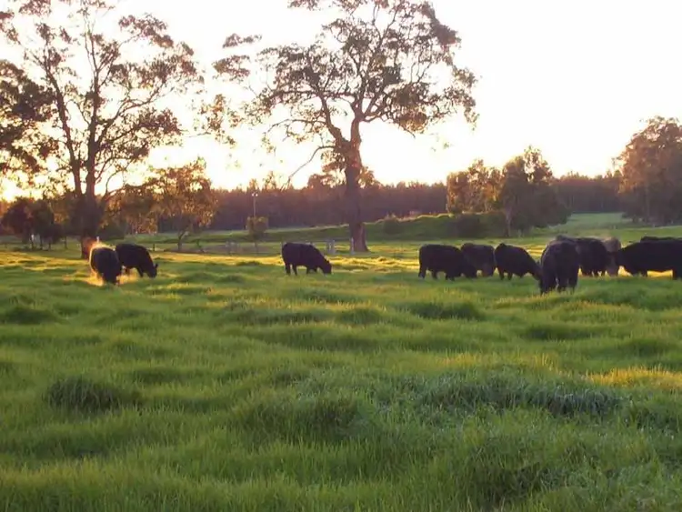 Seventh view of Homely rural property listing, 695 Reynolds Road, Narrikup WA 6326