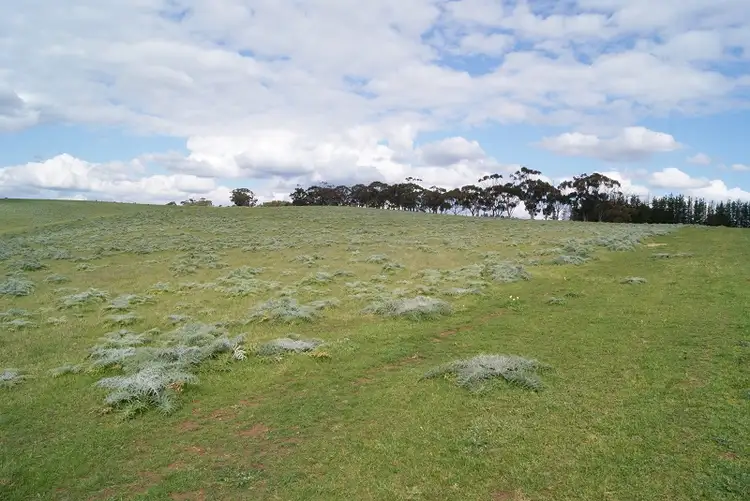 Third view of Homely land listing, Lot 110 Yorktown Road, One Tree Hill SA 5114
