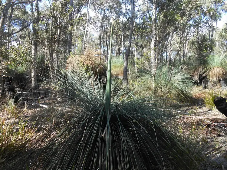 Main view of Homely rural property listing, 1 Hines Road, Flinders Island TAS 7255