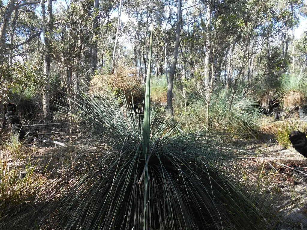 Main view of Homely rural property listing, 1 Hines Road, Flinders Island TAS 7255