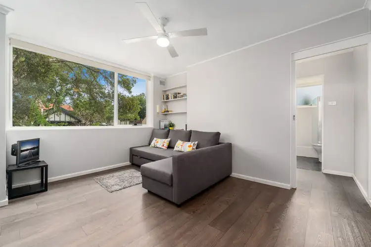 6/43 Macauley Street, Leichhardt NSW 2040