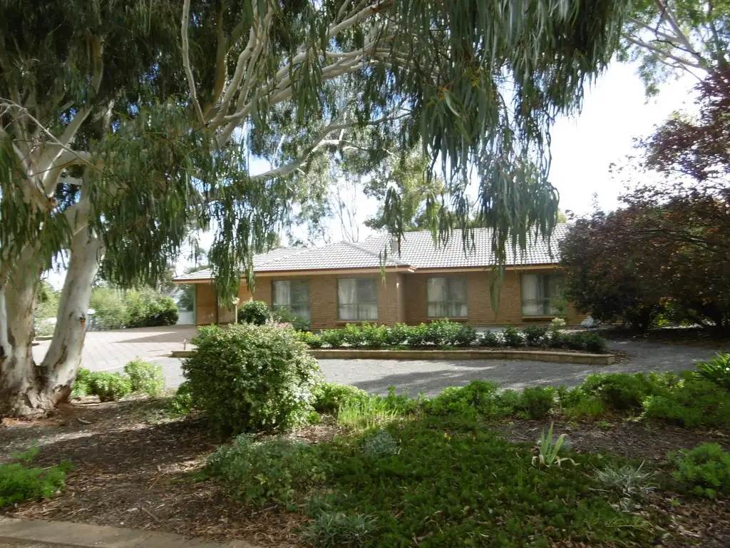 Main view of Homely house listing, 41 South Tce, Jamestown SA 5491