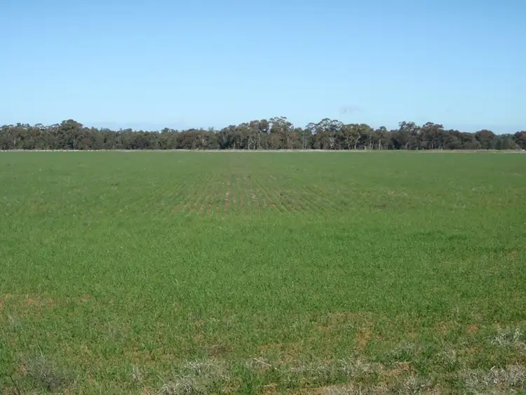 Woodstock Road, Berrigan NSW 2712