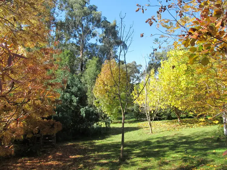 Third view of Homely house listing, 16 Miners Way, Swifts Creek VIC 3896