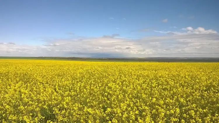 Sixth view of Homely rural property listing, 34564 South Coast Hwy, Gairdner WA 6337
