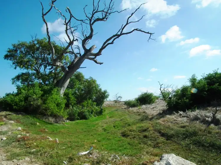 Third view of Homely rural property listing, Allotment 11 Flinders Highway, Wangary SA 5607