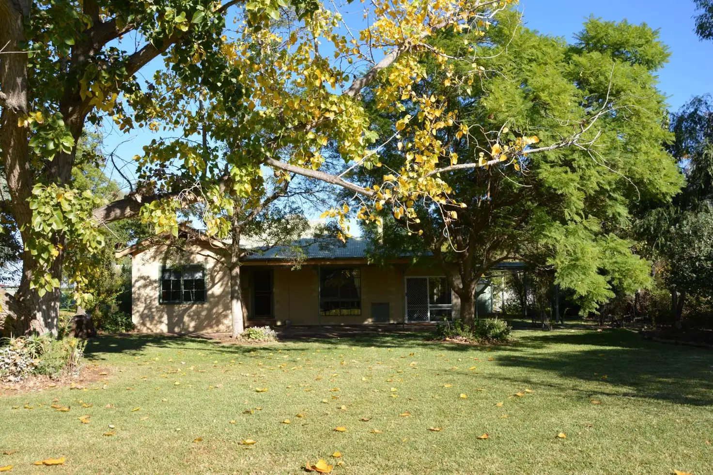 Main view of Homely house listing, 346 Tol Tol Road, Robinvale VIC 3549