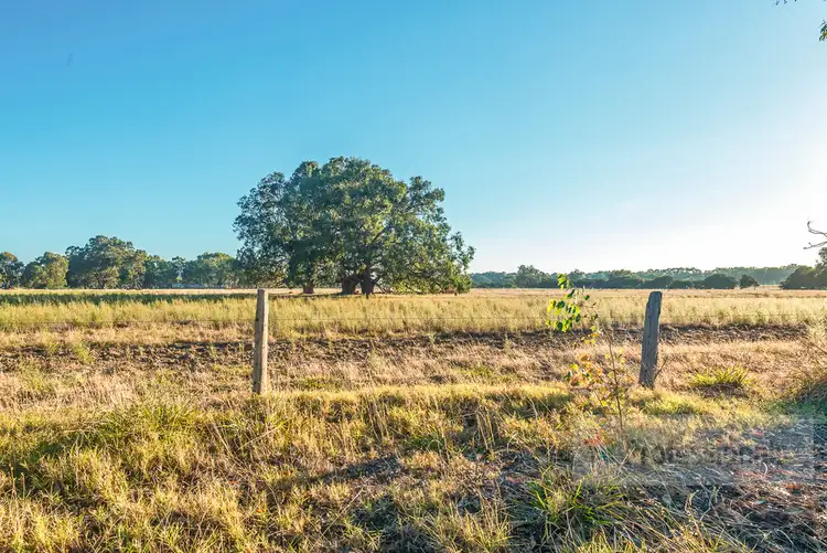 Third view of Homely house listing, 10 George Beacham Way, Pinjarra WA 6208