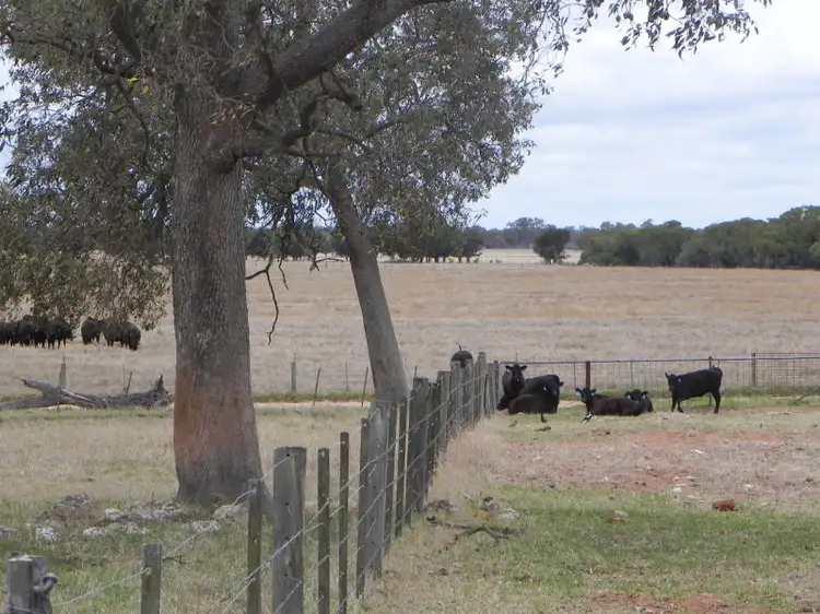 Second view of Homely rural property listing, 269 Mayfield  Road, Beermullah WA 6503