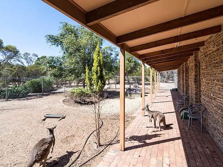 Main view of Homely house listing, 4138 Old Princes Hwy, Murray Bridge SA 5253