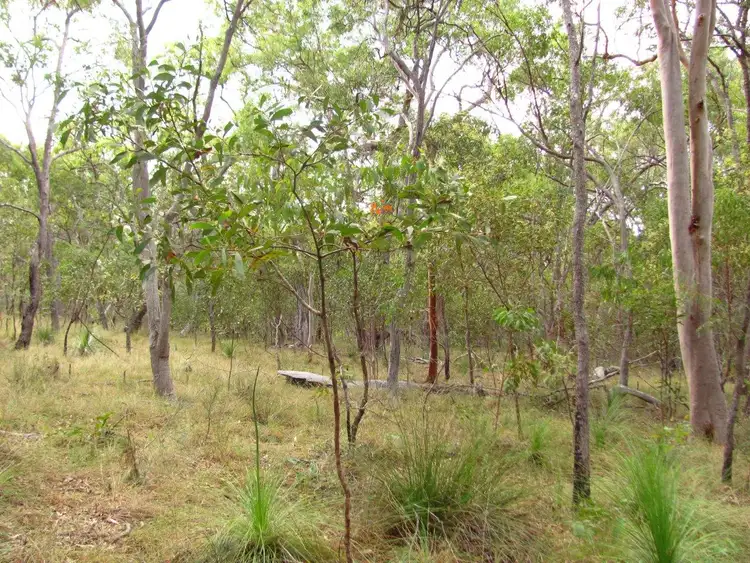 Seventh view of Homely rural property listing, Lot 175 Freshwater Court, Deepwater QLD 4674