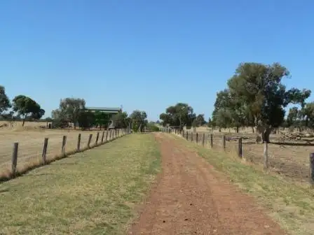 Main view of Homely rural property listing, 100 Swamp Road, Benger WA 6223