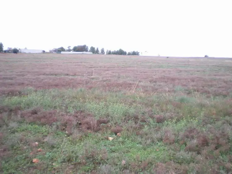 Fifth view of Homely land listing, Lot 7 Thomas Street, Parkes NSW 2870