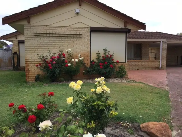 Main view of Homely house listing, 46A Windmill Drive, Bibra Lake WA 6163