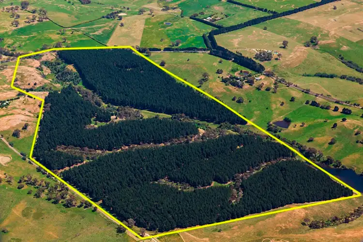 Second view of Homely rural property listing, Address available on request