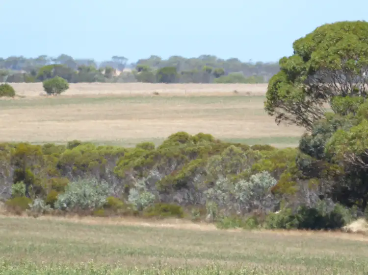 Lot 1272 Jerdacuttup Road North, Jerdacuttup WA 6346