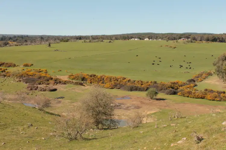 Sixth view of Homely land listing, 125 Four Star Road, Creswick VIC 3363