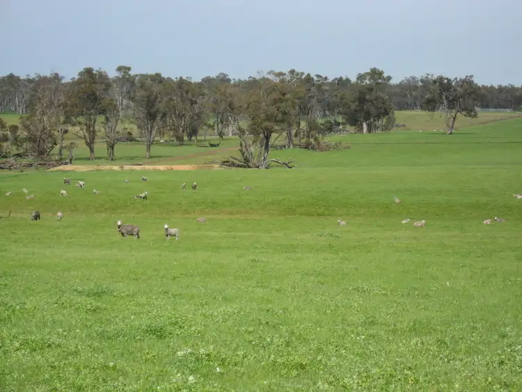 Third view of Homely rural property listing, Lots 234 & 235 Jellicoe Rd, Kendenup WA 6323
