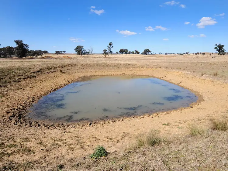 Seventh view of Homely rural property listing, 313 Magpie Lane, Gulgong NSW 2852