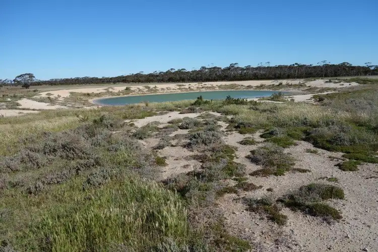 Fourth view of Homely rural property listing, 580 Magagnotti Road, Salmon Gums WA 6445