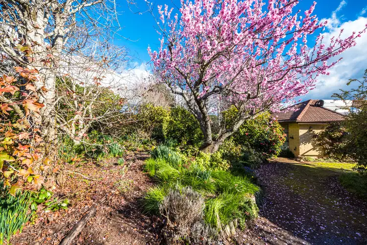 Fourth view of Homely house listing, 24 Arthur Street, Westbury TAS 7303