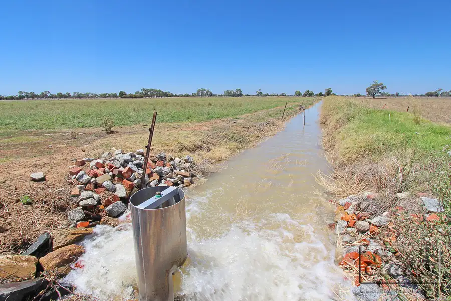 Main view of Homely rural property listing, 11 Rodgers Road, Dingee VIC 3571