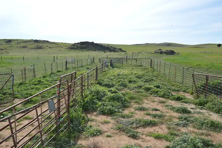 Sixth view of Homely rural property listing, - Jutland Road, Eden Valley SA 5235