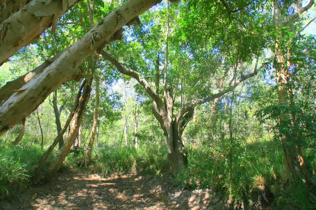 Main view of Homely land listing, Address available on request