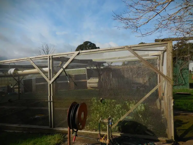 Fourth view of Homely house listing, 311 ADAMS ROAD, Lebrina TAS 7254