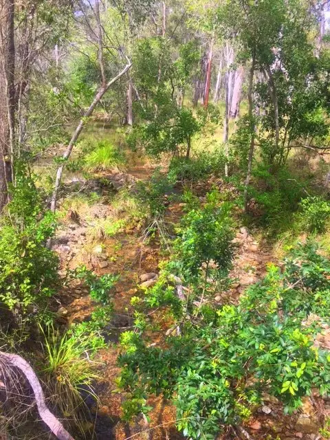 Third view of Homely land listing, 213 Davies Road, Captain Creek QLD 4677
