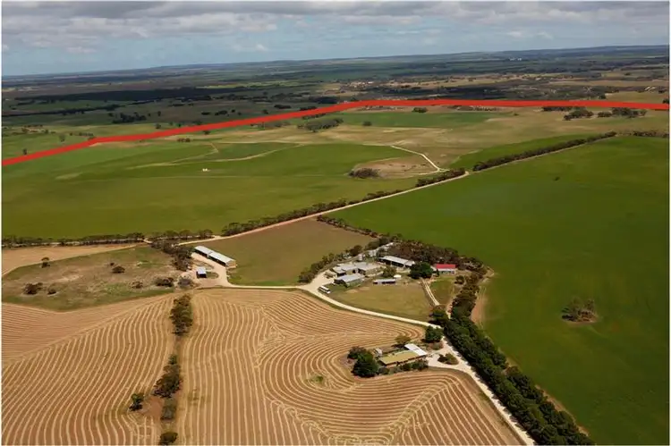 Main view of Homely rural property listing, 146 Pascoe Road, Coonalpyn SA 5265