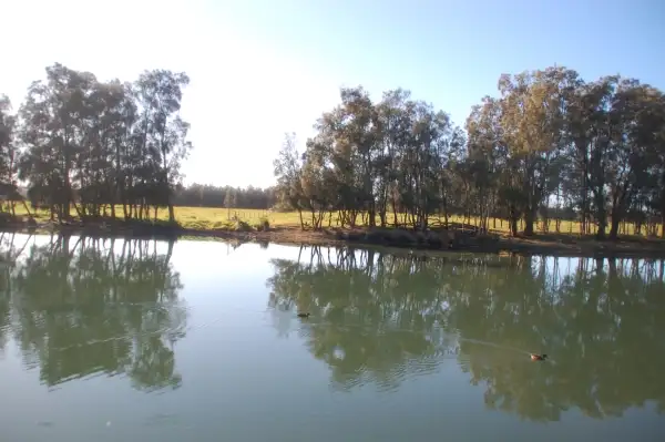 Fourth view of Homely house listing, 72 Rondanella Drive, Kanahooka NSW 2530