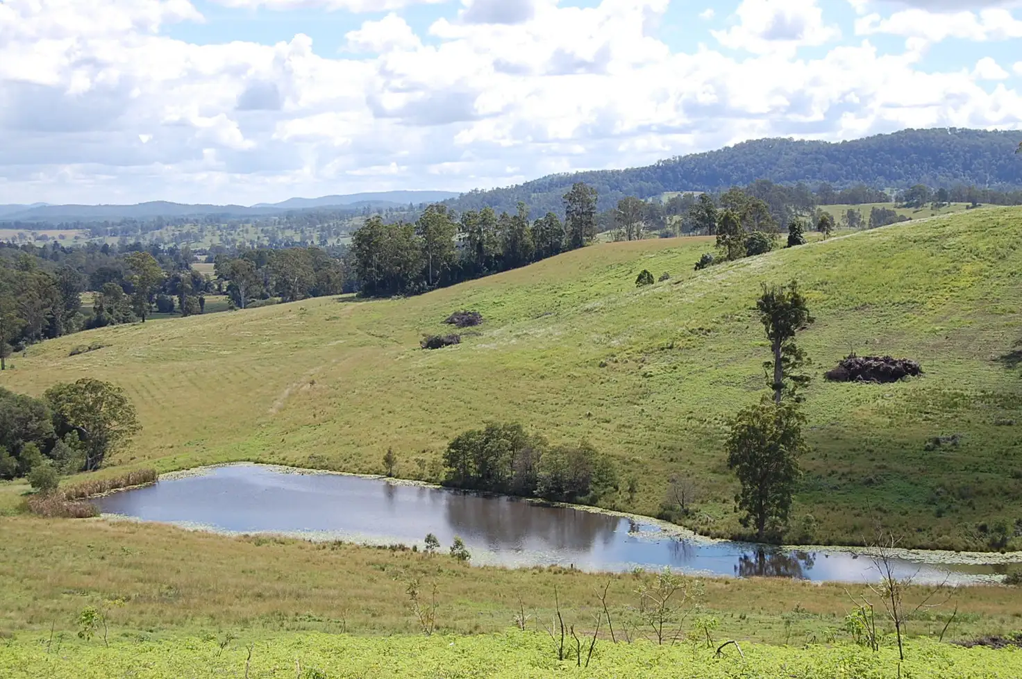 Main view of Homely rural property listing, Culmaran Creek Larsson Road, Culmaran Creek NSW 2469