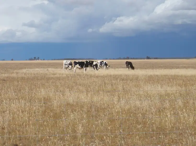 Fifth view of Homely rural property listing, "Purapooka" Southdown Road, Deniliquin NSW 2710