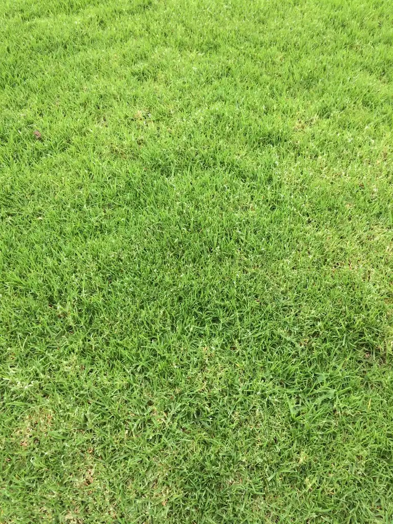 Main view of Homely land listing, 44 Panorama Drive, Wantirna South VIC 3152